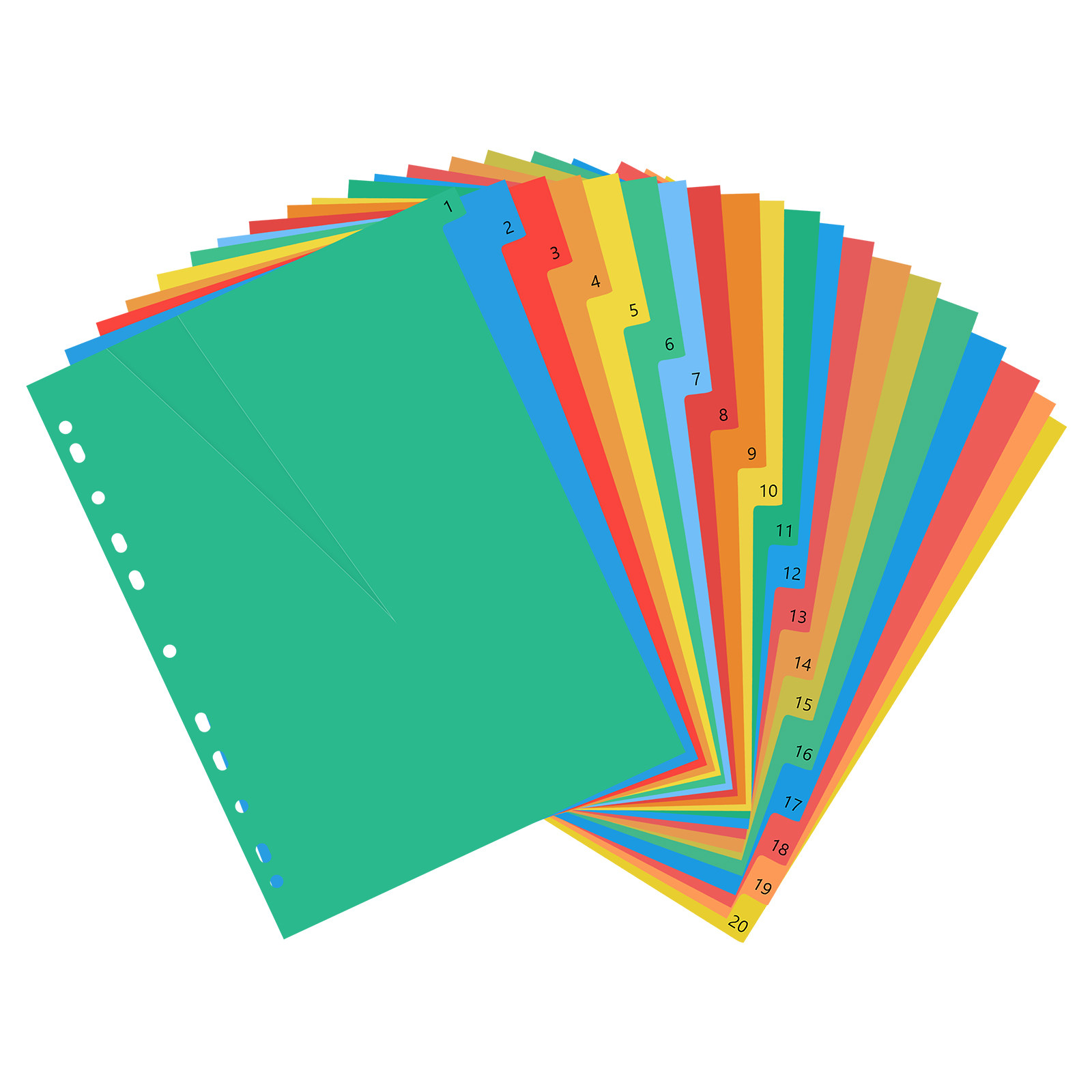 20 Pages A4 Colorful Plastic T - Tab Divider A4 리뷰 및 가격